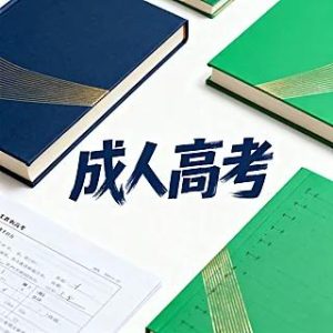 什么是成考？